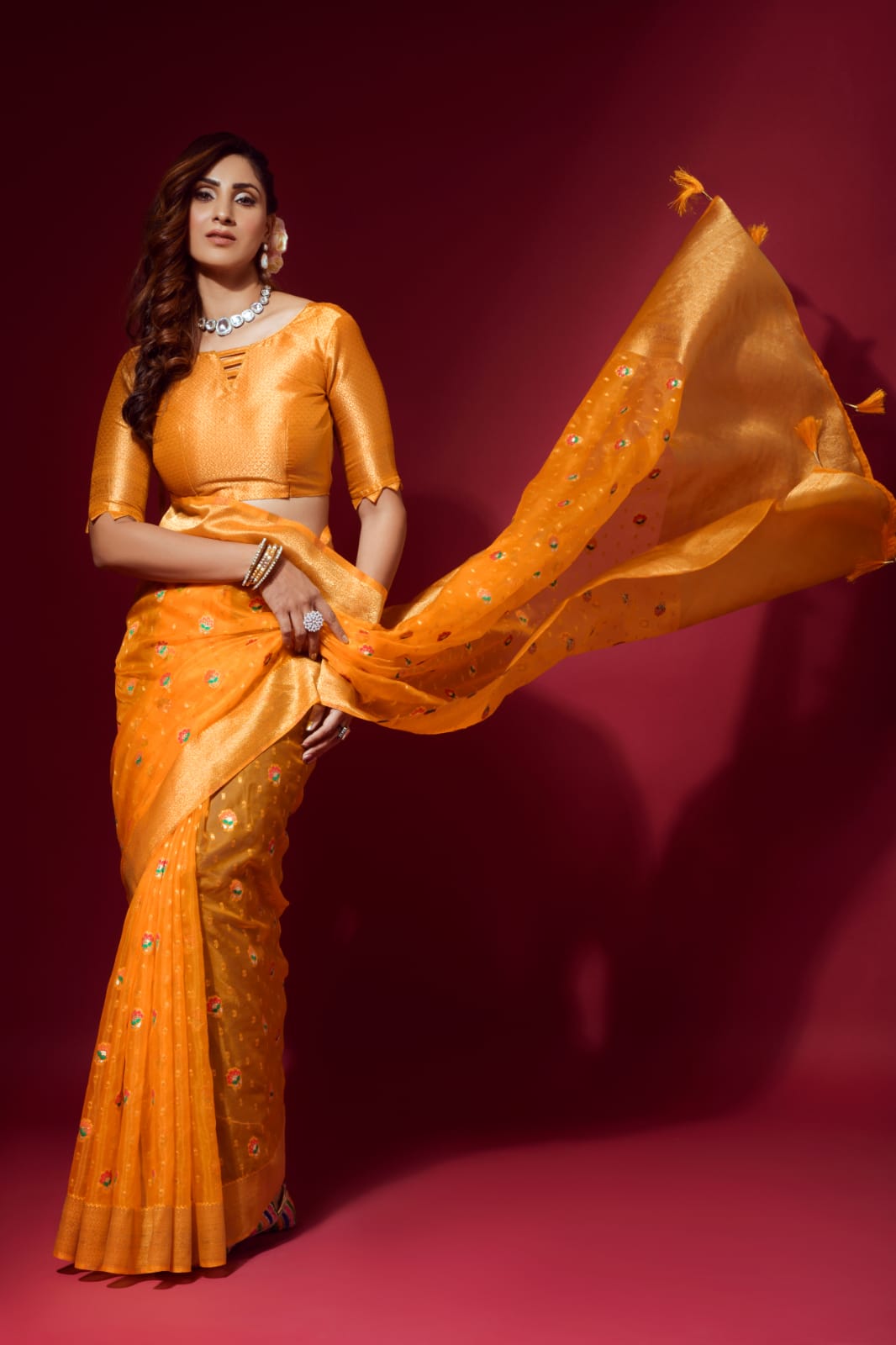 Rajpath Amuly Silk Designer Ethnic Wear Organza Silk Saree Collection